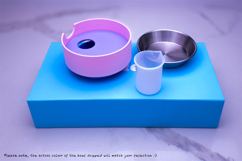 Ant-proof pet bowl "Deli Special". Edition 2.0