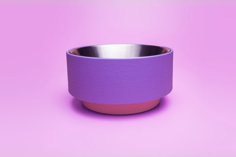 Ant-proof pet bowl "Royal Supper". Edition 2.0