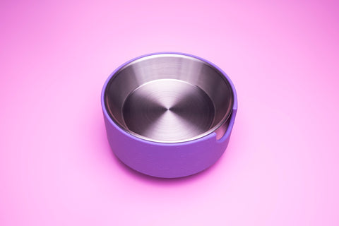 Ant-proof pet bowl "Royal Supper". Edition 2.0